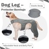 ROZKITCH Dog ACL Surgery Recovery for Rear Right Left Leg,