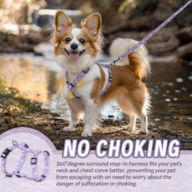 Dog Harness Leash Set, No Pull Adjustable Halter Cute Comfort Padded Handle for Medium Sized Large Small Dogs Walking Training Running with Reflective（Small,Purple）