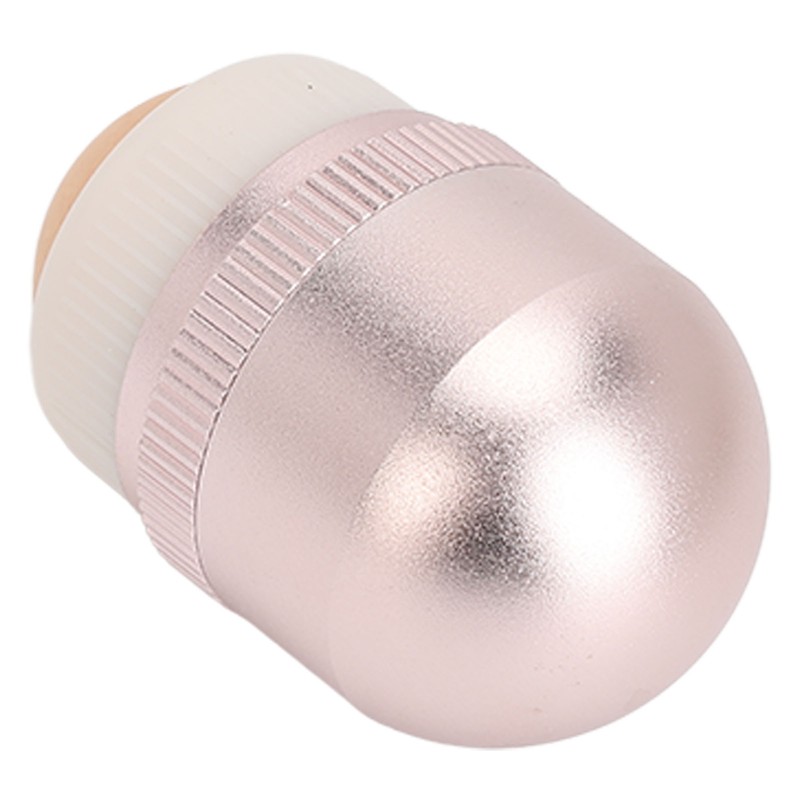Oil Absorbing Face Roller for Oily Skin Care Egg Shape
