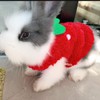 ANIAC Bunny Clothes for Rabbits Warm Kitten Vest Fleece XXXS
