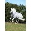 Bucas Sun Shower Turnout Rug 5-9" Silver