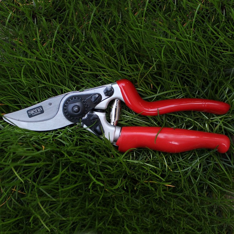 Siena Garden Premium Bypassschere, Gartenschere, Rosenschere, mit Rollgriff, 691518