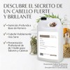Shampoo Vegano de Romero a Granel Profesional 1 Galón (3.8