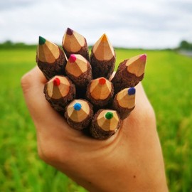 NUTTA - ASSORT COLORED, Branch & Twig Pencil, 12-PCs, Natural Wooden Pencils Wood Tree Rustic Twig Pencils Fun Pencil for Children and Family and Gift (3.5" Inches)