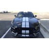 Ford 2016 2017 2018 2020 Mustang Shelby gt350 front splitter
