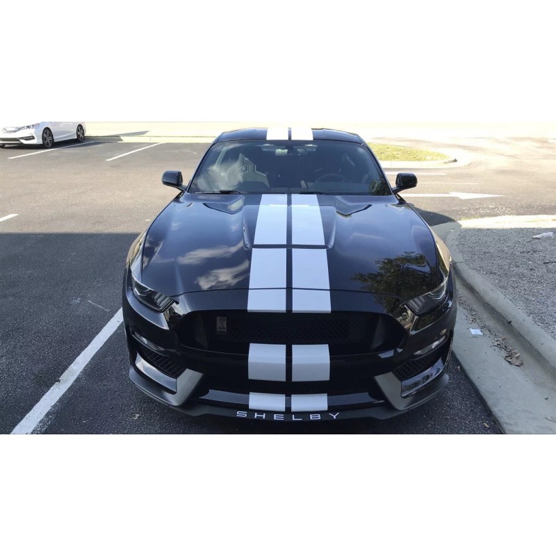 Ford 2016 2017 2018 2020 Mustang Shelby gt350 front splitter