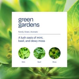 AERA True Loves Wildrose Rains - Deodorizing Home Fragrance Scent Refill for Pet Odor - Notes of Mint, Basil & Dewy Moss - 12.5mL - for Use Diffuser (Sold Separately)