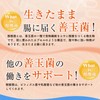 ミル総本社 長寿菌のチカラ 酪酸菌 乳酸菌 ビフィズス菌 食物繊維 難消化性デキストリン 粉末サプリメント