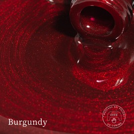 MAYCHAO 15ML Cat Eye Gel Nail Polish 1Pc Burgundy Gel Polish with Magnet Soak off Holographic Magnetic Nail Polish for Nail Art Manicure Salon DIY at Home, 0.5 OZ