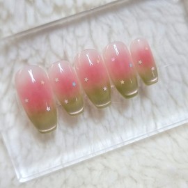 Shy Guava Handmade Nail Tip Magnetic Gradient - Short Oval / 수줍은 구아바 수제네일팁 자석그라데이션 - 숏오벌