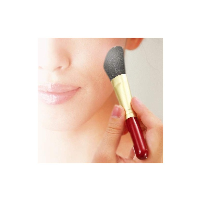 Zenith KFI-R50CL Kumano Makeup Brush Set