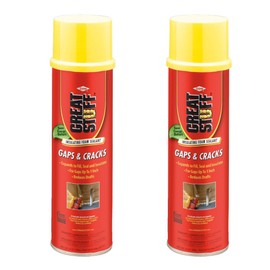 GREAT STUFF Gaps & Cracks 20 oz Insulating Foam Sealan (2)