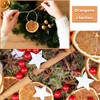 Pack of 44 Natural Christmas Decoration Advent Wreath