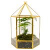 ELEGANTLIFE Glass Geometric Plant Terrarium,Succulent & Air Planter for Home