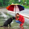 BAGAIL Golf Umbrella 68 Inch Large Oversize Double Canopy Vented