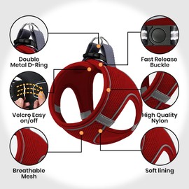 MITA Dog Harness and Leash Set - Puppy Harness - Cat Harness - Comfortable Step-in Big & Small Dog Harness, Breathable and Multi Weather Mesh Escape Proof Dog Harness - Secure & Comfortable