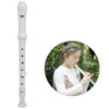 8 Holes Baroque Recorder Clarinet Flute Woodwind Instrument with PU