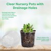 Bluepro Bluepro 60 Packs 3.5 Inch Reinforced Clear Nursery Pots