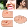 3D Nose and Mouth Model Silicone Ear Model Simulation Display