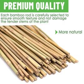 35Pcs Plant Stakes,Premium Natural Bamboo Garden Stakes,Bamboo Sticks Support for Indoor and Outdoor Plants,Tomato,Vegetables Beans,Potted and Climbing Plants