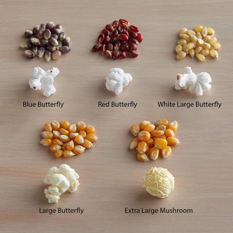 Concession Essentials Premium Gourmet Mushroom Extra Large Popcorn Kernels -