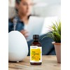 Horbäach Nag Champa Fragrance Oil | 4 fl oz (118ml)