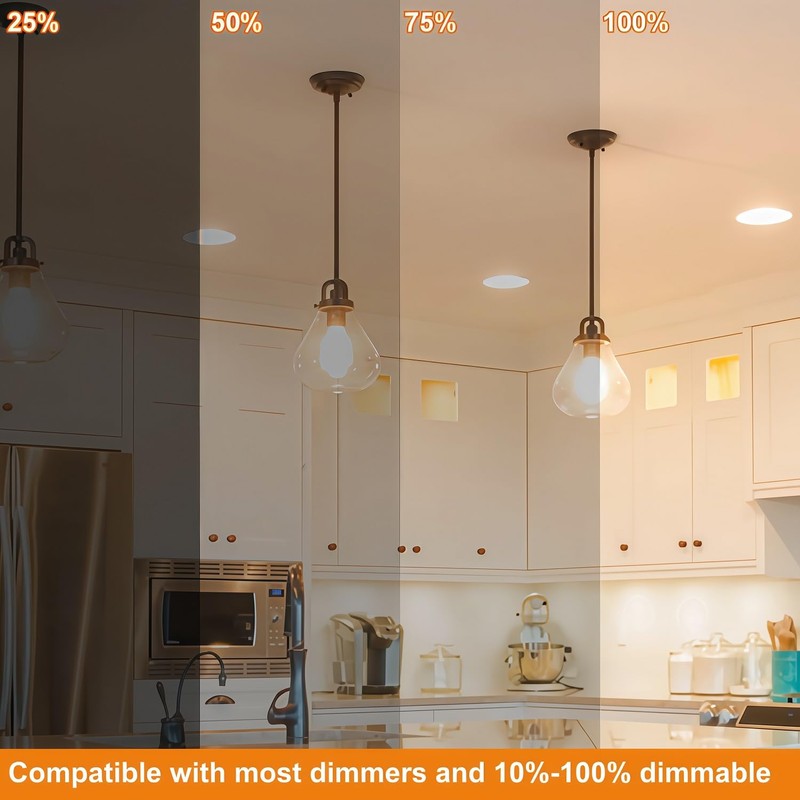 Vinaco A19 LED Edison Bulb Dimmable 8W 120V 2700K Warm