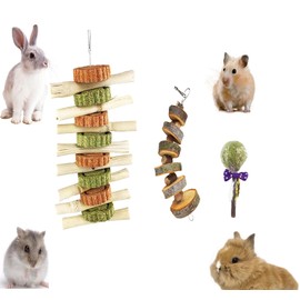 Dliduy 3PCS Rabbit Chew Toys Set Snacks for Teeth Care, Natural Hanging Bunny Chew Treats for Guinea Pigs Hamsters Chinchilla Small Animals Pets for Teeth Grinding (S, Animals)