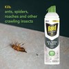 Raid Essentials Ant Spider and Roach Killer Aerosol Spray, Kills