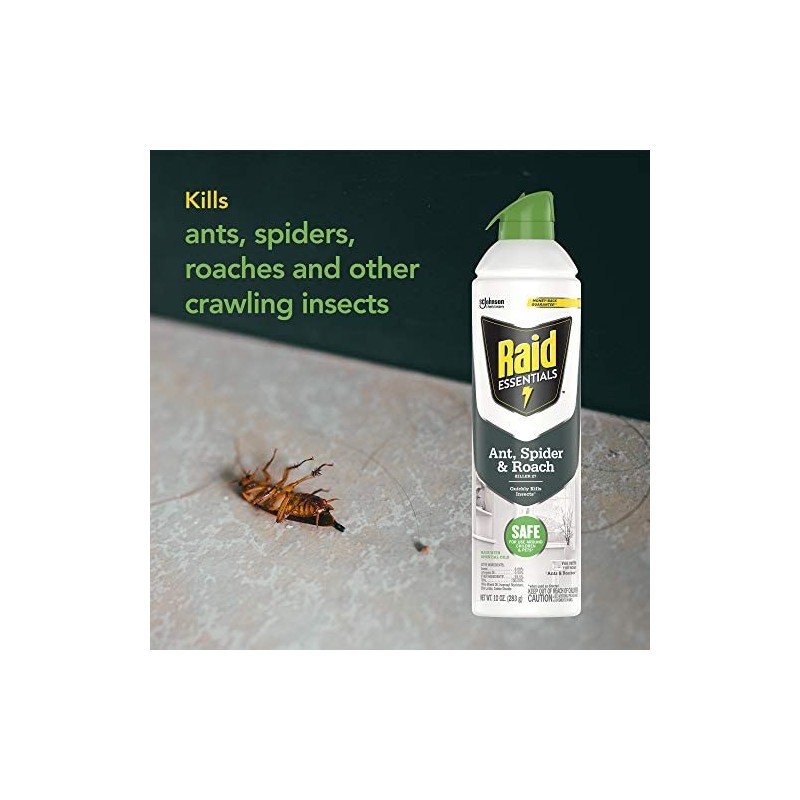 Raid Essentials Ant Spider and Roach Killer Aerosol Spray, Kills