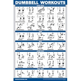 Palace Learning Dumbbell Workouts and Exercise Ball Poster Set - Laminated 2 Chart Set - Dumbbell Exercise Routine & Stability/Yoga Ball Workouts (18" x 24")
