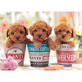 Beverly P108-844 1400 600 Piece Jigsaw Puzzle, Feeling of a Dog (15.0 x 20.9 inches (38 x 53 cm)