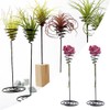 10Pcs Tabletop Planter Fashionable Air Plant Stand Holder Container Display