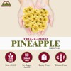 Himalayan Chef Freeze-Dried Fruit – 15g/Each Freeze-Dried Pineapple | Organic