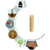 TOX Boltfix 015200101 Wooden Dowels M Wood 6 x 30