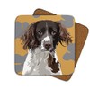 Leslie Gerry Animal Collection Springer Spaniel Coaster