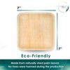 Planet Pantry Disposable Palm leaf Party Pack 10" (25 pcs)