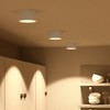 SSC-LUXon CELI-X LED Surface-Mounted Spotlight, Flat, Dimmable, Large Light Area,