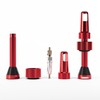 PMP Tubeless MTB Valves Universal: Conical Base, Tool-free Use, Core