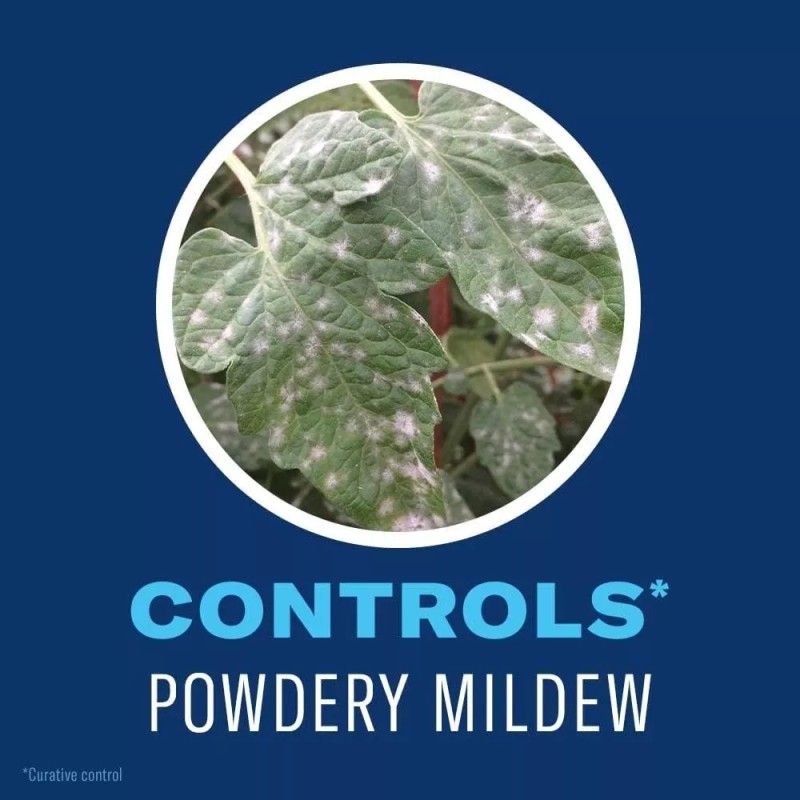 BioAdvanced Set of 2 BioAdvanced Organics Tomato, Vegetable & Fruit