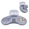 Double Cat Bowls Pet Food and Water Bowl Set Tilted