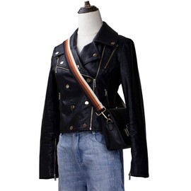 Allzedream Purse Strap Replacement Crossbody Handbag Stripe Wide Adjustable (Brown, Silver Hardware)