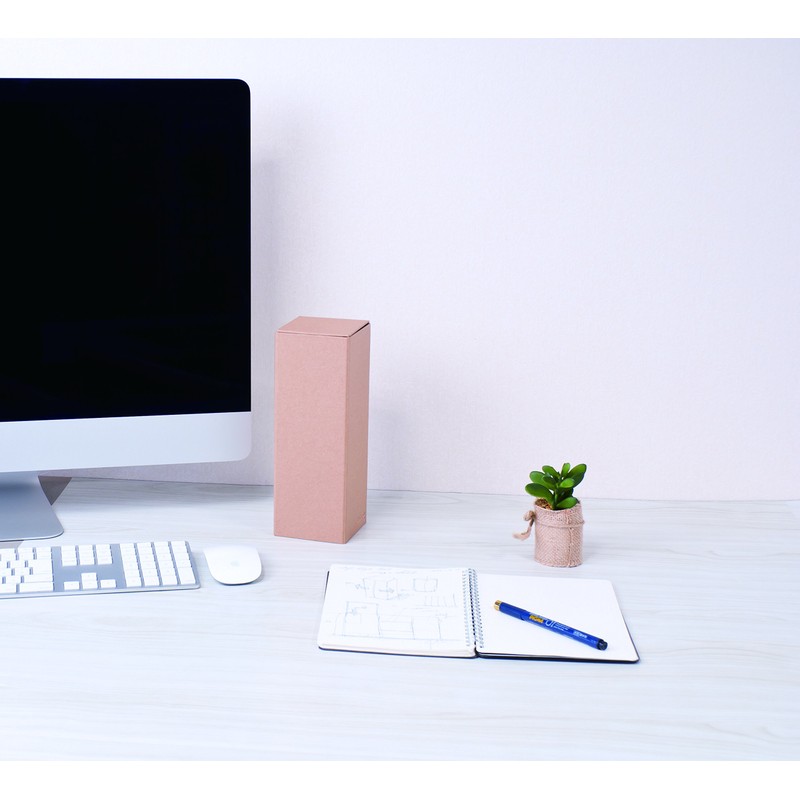 Nakabayashi LST-B02KR Lifestyle Tool Small Storage Case Box M Craft