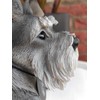 Vivid Arts (Miniature Schnauzer Sitting