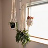 INDOOR PLANT POLE Spring Tension Rod with 3 Adjustable ARMS