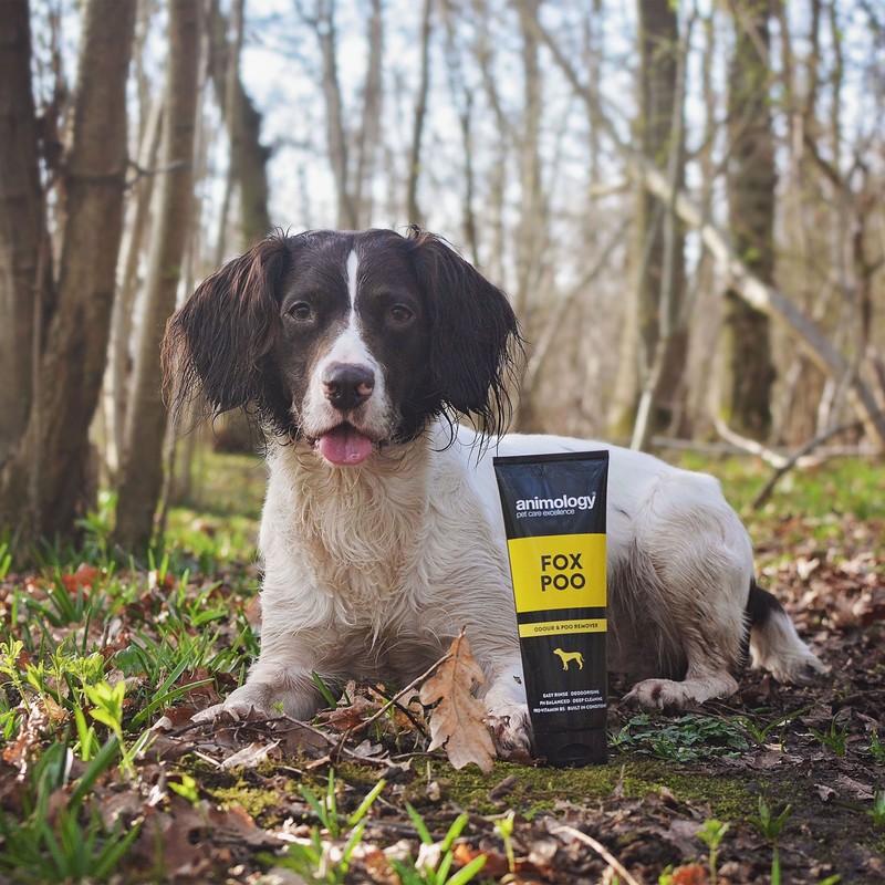 Animology Fox Poo Deodorising Dog Shampoo, Twin Pack, 250ml