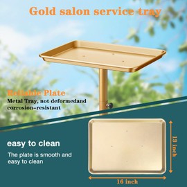Salon Tray, Golden Salon Tray, Tattoo Tray on Wheels, Metal Dental Rolling Tray, Services Tray Height-Adjustable, Tattoo Tray, Medical Tray, Dental Tray（Golden）