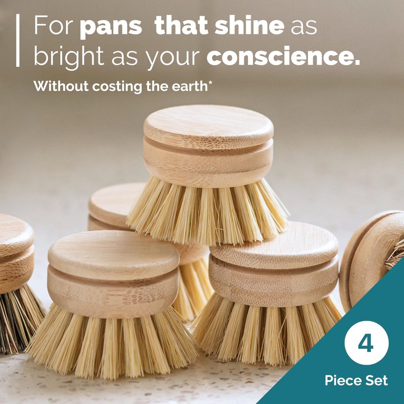 Jungle Culture Replacement Brush Heads for Eco Dish Brush •