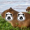 OKEYCH Capybara Lover Gift Capybara Stud Earrings Who Loves Capybaras