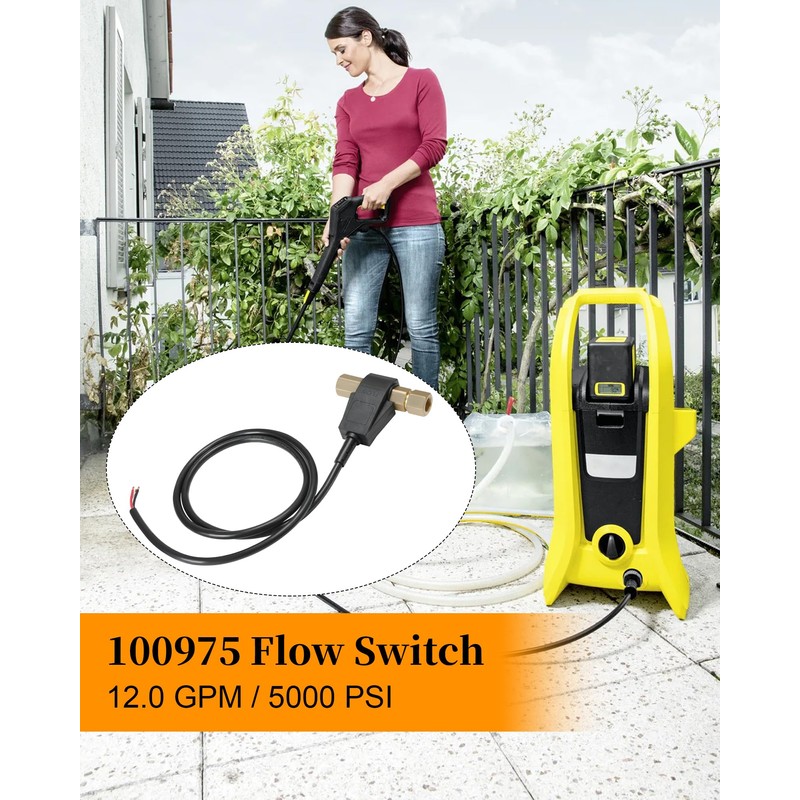 100975 Flow Switch for Pressure Washer, Flow Switch Fit for